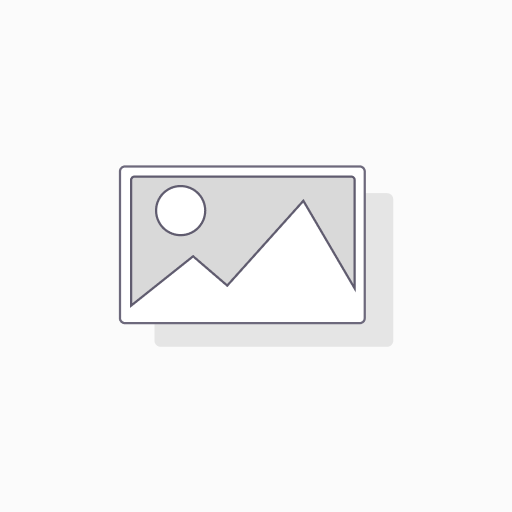 [00749] Adjustable Shoe Ramp